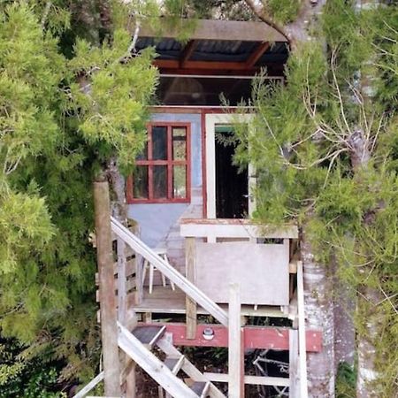 The Treehut At The Rabbithole, Upper Hutt Hotel Akatarawa Exterior photo